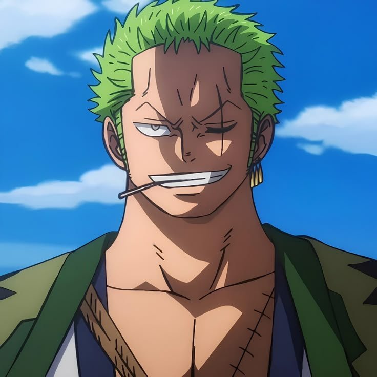 Roronoa Zoro — Image 11